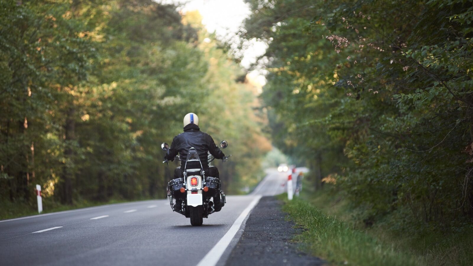 A motorcyclist riding a tree-lined road on a summer day.