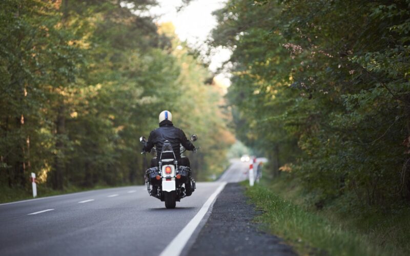 A motorcyclist riding a tree-lined road on a summer day.